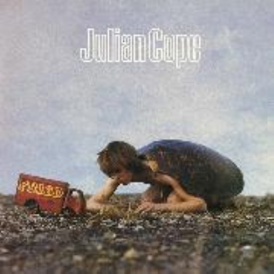 Fried : Julian Cope | HMV&BOOKS online - HSU-19160/1