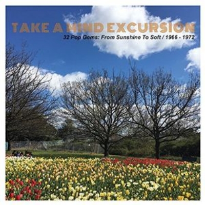 TAKE A MIND EXCURSION,TEENSVILLE,ソフト・ロック TAKE A MIND EXCURSION,TEENSVILLE,ソフト・ロック - メルカリ