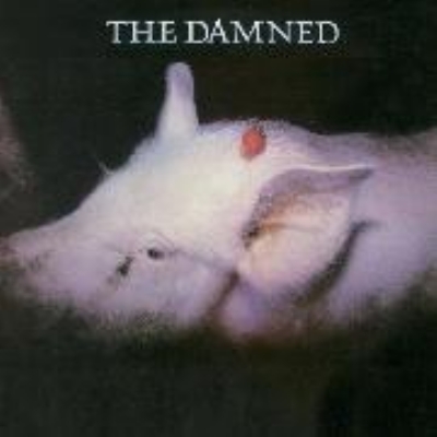 Strawberries : THE DAMNED | HMV&BOOKS online - HSE-4018