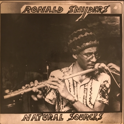 [レコード] Ronald snijders NATURE SOURCES LP Ronald Snijders - Natural Sources (Vinyl, CD, download