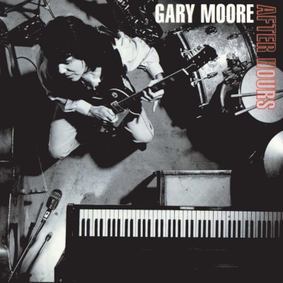 grinding stone 180グラム重量盤レコード music on vinyl gary 販売 moore