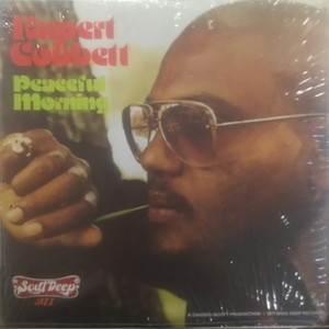 中古:盤質B】 Peaceful Morning : Rupert Cobbett | HMV&BOOKS online 