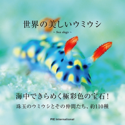 世界の美しいウミウシ : パイインターナショナル | HMV&BOOKS online