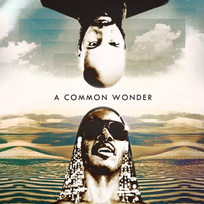 Common Wonder (2枚組アナログレコード) : Common / Stevie Wonder