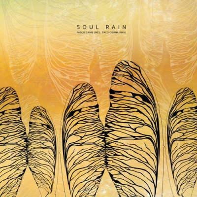 Soul Rain Pablo Cahn Hmv Books Online 113