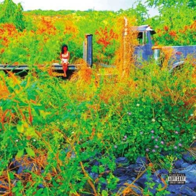 Trip : Jhene Aiko | HMV&BOOKS Online - 5782779