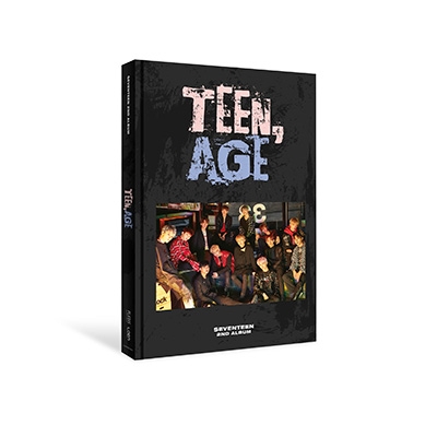 エンタメ/ホビー★値下げ★SEVENTEEN　2nd ALBUM TEEN,AGE 台湾限定版