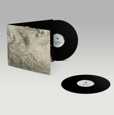 Ignite The Seven Cannons (アナログレコード) : Felt | HMV&BOOKS