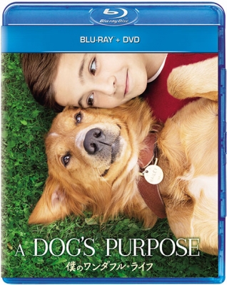 ワンダフルライフ DVD-BOX〈7枚組〉 ワンダフルライフ DVD-BOX〈7枚組〉 DVD-BOX】☆ワンダフルライフ 特典