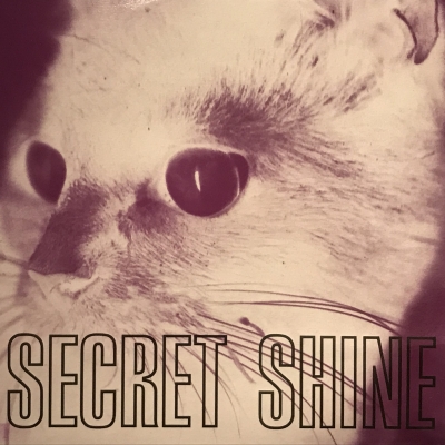 Untouched : Secret Shine | HMV&BOOKS online - SARAH615