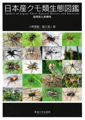 日本産クモ類 日本産クモ類生態図鑑 : 小野展嗣 | HMV&BOOKS online : Online
