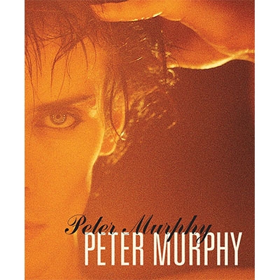 ピーター・マーフィー　Peter Murphy　バウハウス　LP　レコード 超レア Peter Murphy ピーターマーフィー 1989年製ヴィンテージ
