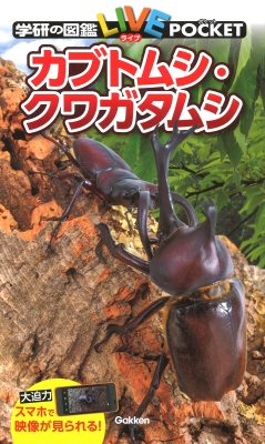 カブトムシ クワガタムシ 学研の図鑑liveポケット 岡島秀治 Hmv Books Online Online Shopping Information Site English Site