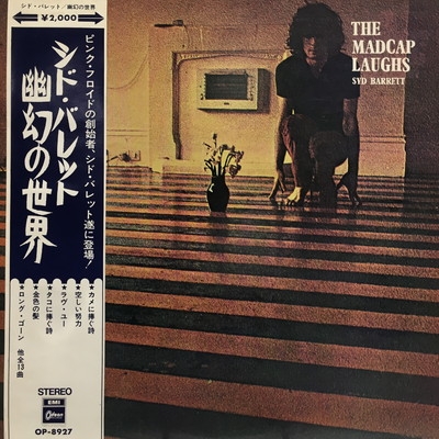 シド・バレット　2枚組 LPレコード　何人をも近づけぬ男　SYD BARRETT 何人も近づけぬ男/シド・バレット | 矢田川極塾 第三校