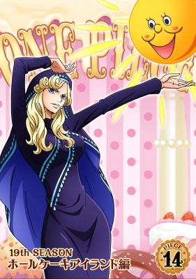 ONE PIECE ワンピース 19THシーズン ホールケーキアイランド編 PIECE