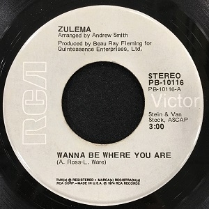 ZULEMA Wanna Be Where You Are 7インチシングル