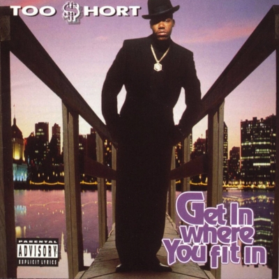 Get In Where You Fit In (Picture Cover, Limited To 1250)