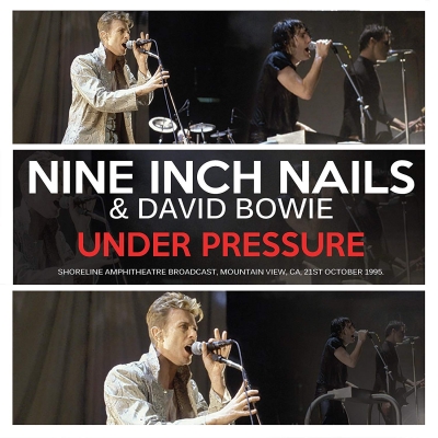 Under Pressure (2枚組アナログレコード/Parachute) : Nine Inch Nails