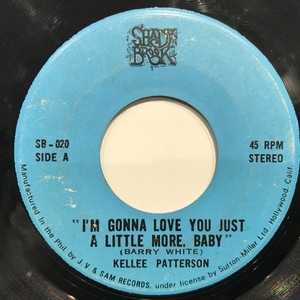 I'm Gonna Love You Just A Little More Baby : Kellee Patterson | HMV&BOOKS  online - SB020