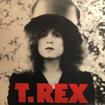 中古:盤質B】 Slider : T. Rex | HMV&BOOKS online - BLN5001