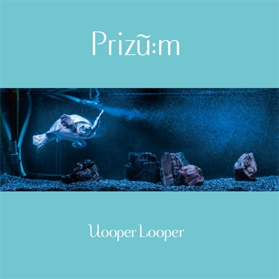 Prizu M Uooper Looper Hmv Books Online Fcmr 2