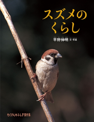 スズメのくらし たくさんのふしぎ傑作集 : 平野伸明 | HMV&BOOKS