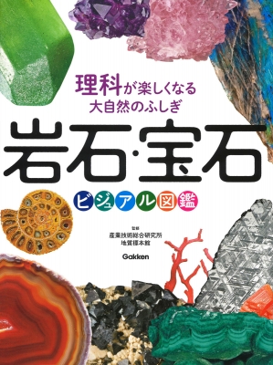 岩石・宝石ビジュアル図鑑 理科が楽しくなる大自然のふしぎ : 地質標本