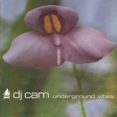 (USED)DJ CAM UNDERGROUND VIBES アナログレコード Underground Vibes : DJ Cam | HMV&BOOKS online - 19001