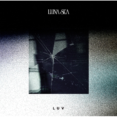 LUNA SEA / IMAGE レコード盤-