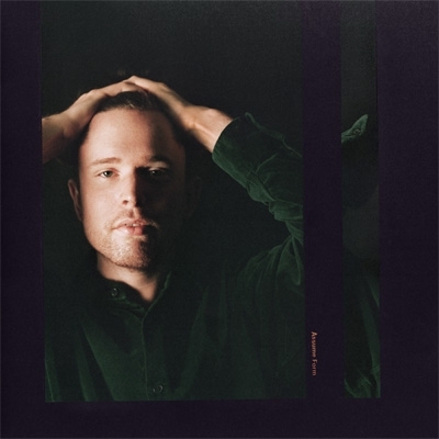 James Blake – Assume Form アナログレコード LP - 洋楽