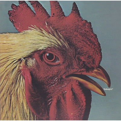 CDページ Ambergris ＜紙ジャケット＞ : Ambergris | HMV&BOOKS online