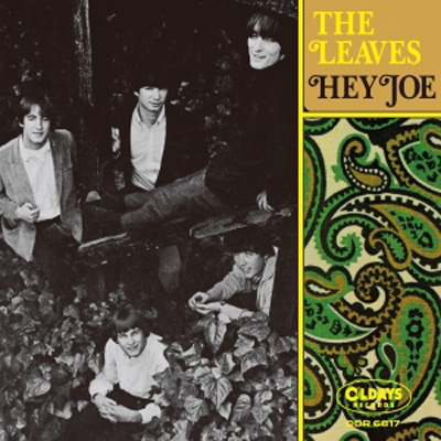 Hey Joe : Leaves | HMV&BOOKS online - ODR6816