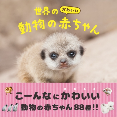 世界のかわいい動物の赤ちゃん 大渕希郷 Hmv Books Online