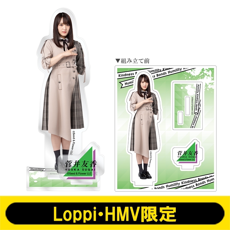 アクリルスタンド (菅井友香)【Loppi・HMV限定】 : 欅坂46 | HMV&BOOKS