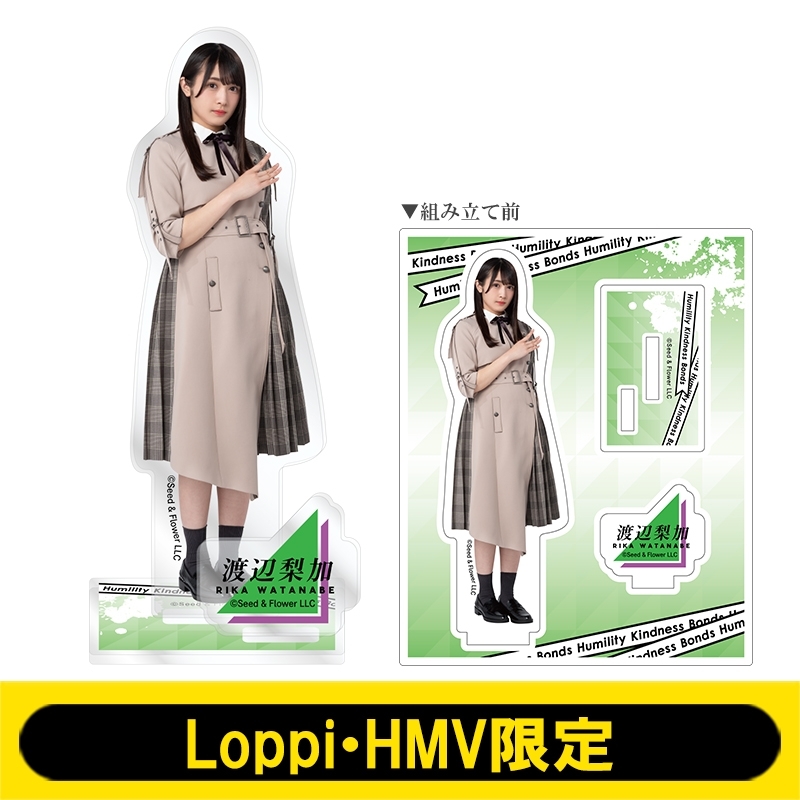 アクリルスタンド (渡辺梨加)【Loppi・HMV限定】 : 欅坂46 | HMV&BOOKS