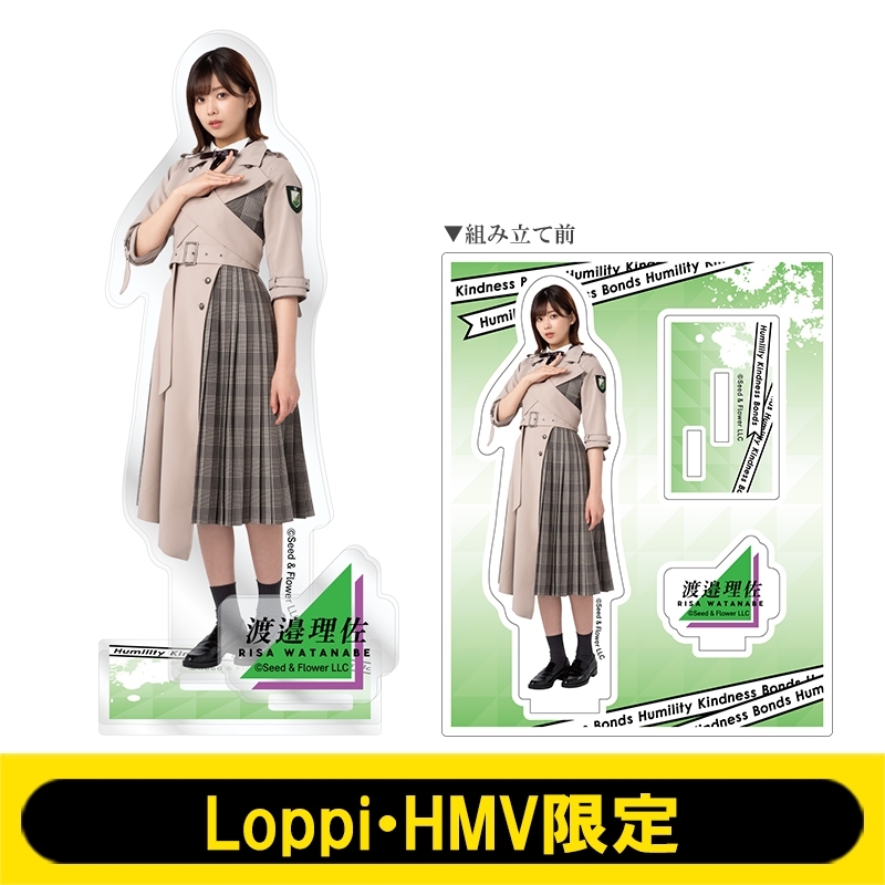 アクリルスタンド (渡邉理佐)【Loppi・HMV限定】 : 欅坂46 | HMV&BOOKS ...