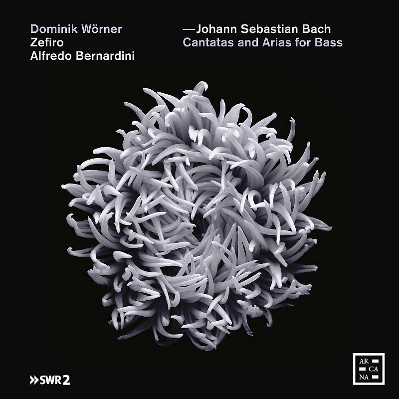 Cantata, 56, 82, 158, : Worner(B)Bernardini / Zefiro Etc +