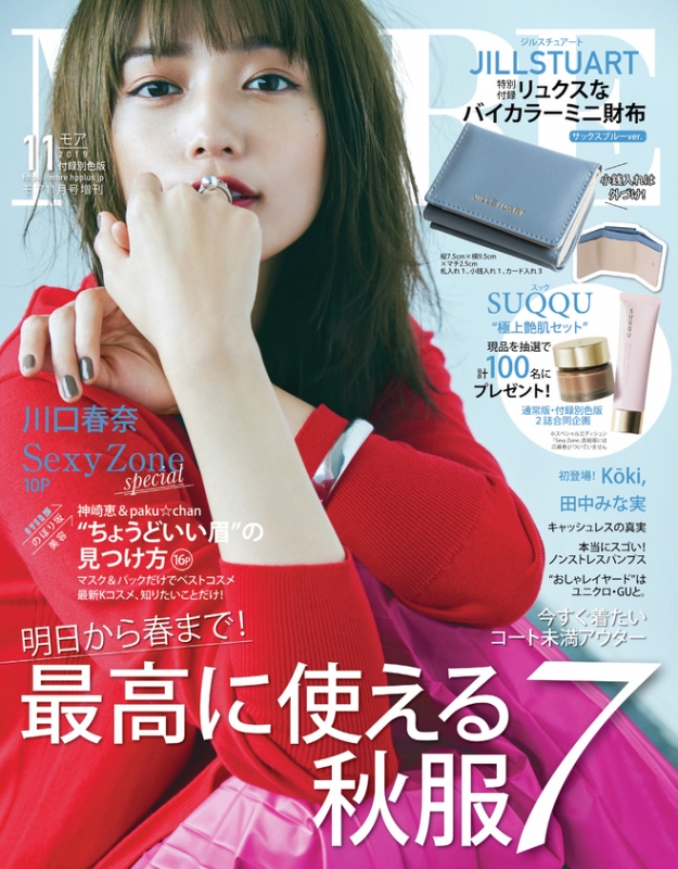 付録別色版MORE (モア)2019年 11月号 増刊 (付録色 サックスブルー