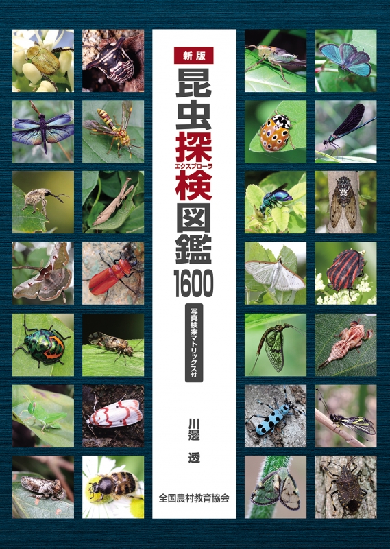 昆虫探検図鑑1600 写真検索マトリックス付 : 川邊透 | HMV&BOOKS online - 9784881371961