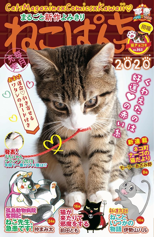 ねこぱんち 猫チョコ号 にゃんCOMI : アンソロジー | HMV&BOOKS online