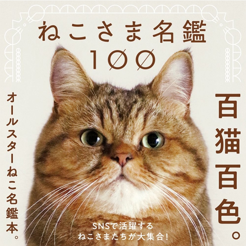 猫様