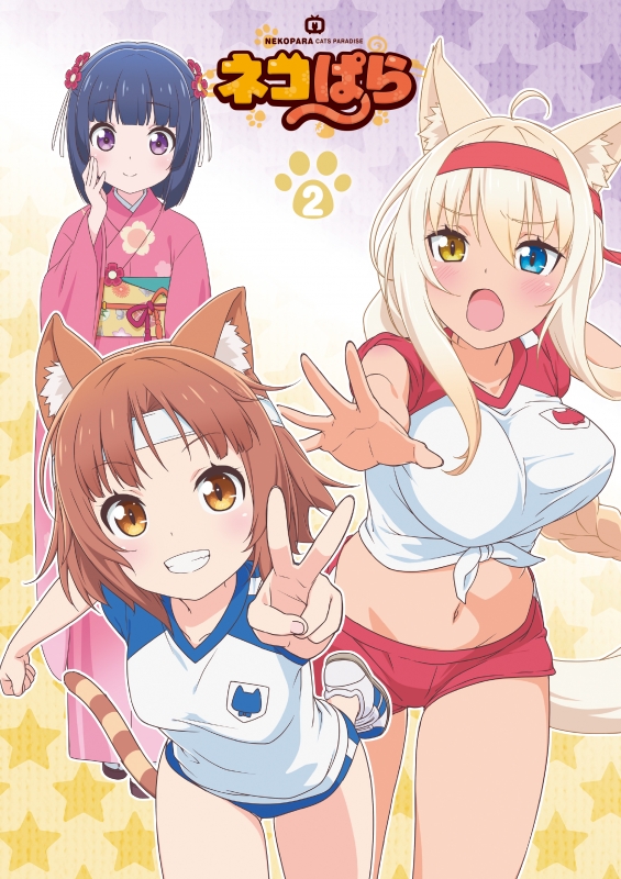 TVアニメ「ネコぱら」Blu-ray BOX II : ネコぱら | HMV&BOOKS online