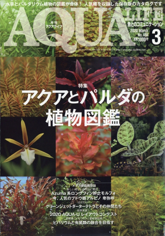 月刊 AQUA LIFE (アクアライフ)2020年 3月号 : 月刊AQUA LIFE編集部