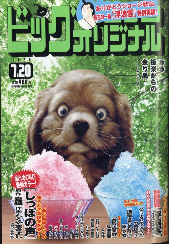 ビッグコミックオリジナル 2020年 7月 20日号 ビッグコミックオリジナル編集部 Hmv Books Online 274730720