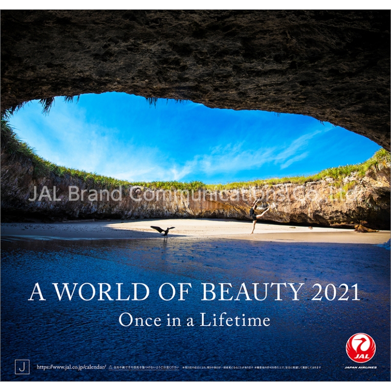 Jal「a World Of Beauty」(普通判)2021年カレンダー : 2021年カレンダー | HMV ...
