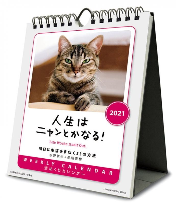 人生はニャンとかなる 21年カレンダー 21年カレンダー Hmv Books Online Online Shopping Information Site 21cl3 English Site