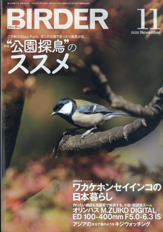 61%OFF!】 Birder 最新号 2023年 8月号 特集 彩鳥図鑑