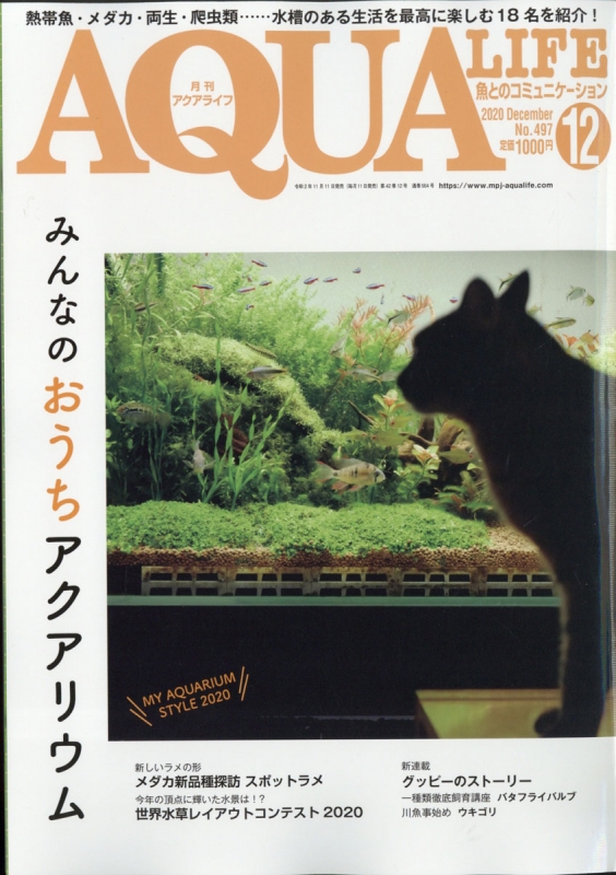 月刊 AQUA LIFE (アクアライフ)2020年 12月号 : 月刊AQUA LIFE編集部