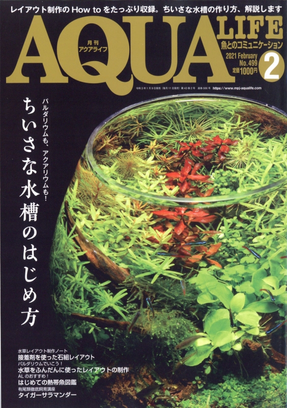 月刊 AQUA LIFE (アクアライフ)2021年 2月号 : 月刊AQUA LIFE編集部 ...