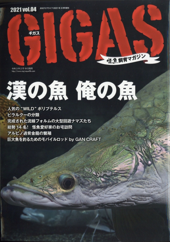 怪魚飼育マガジン Gigas (ギガス)Vol.4 月刊 AQUA LIFE (アクアライフ